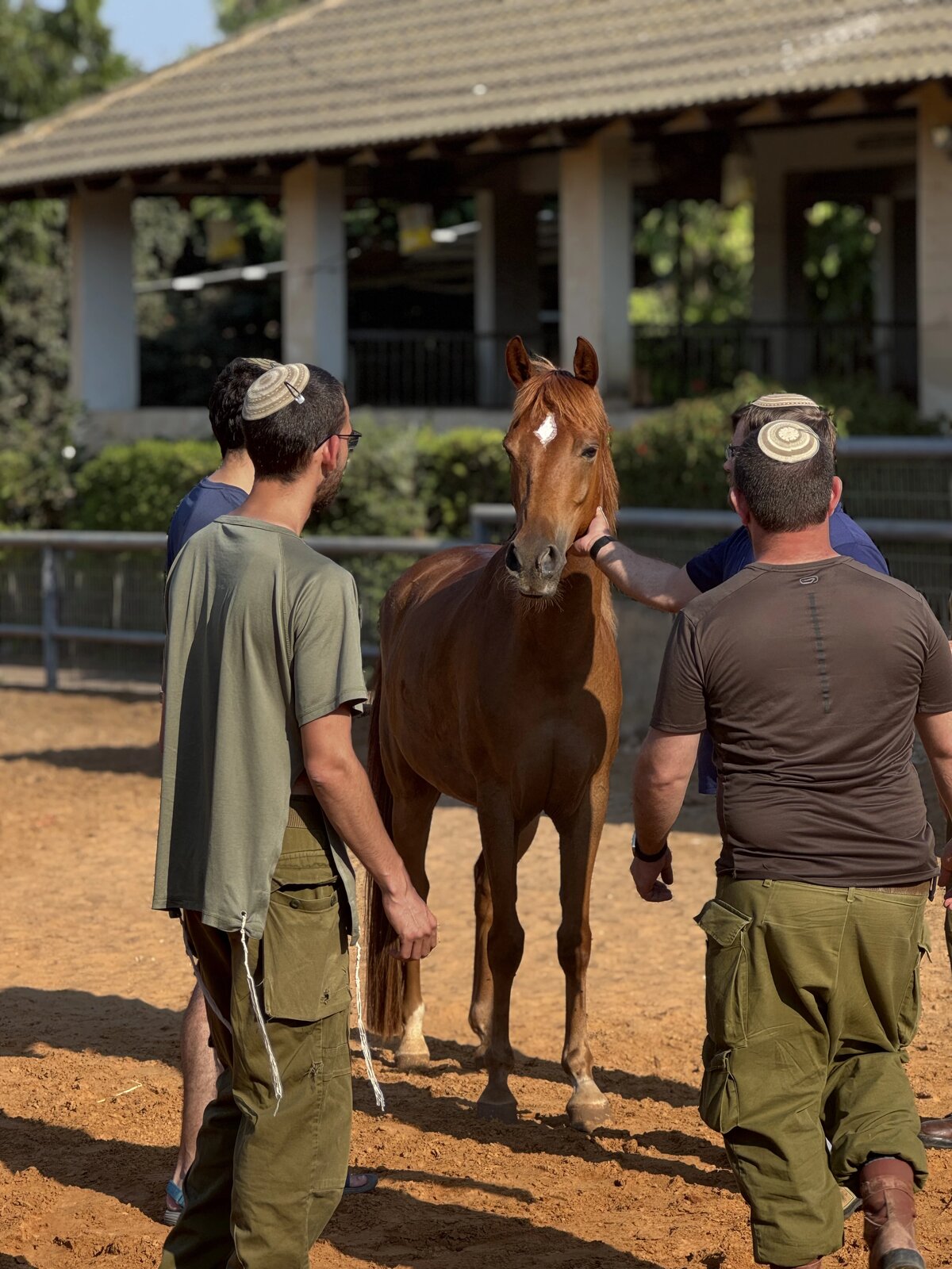 IDF soldiers in equine therapy groundwork session at Aviv Farm