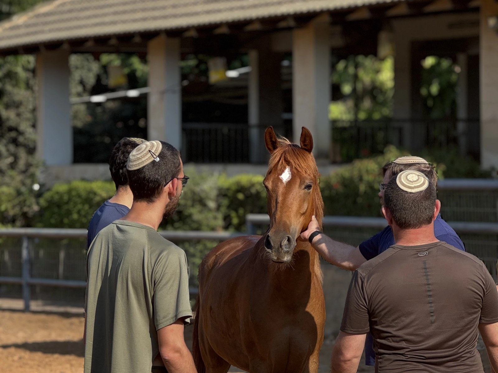 Aviv Farm equine therapy center — Strong Heart Initiative headquarters, Israel
